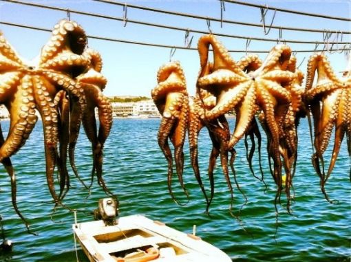  Midilli Adası-Lesvos Island